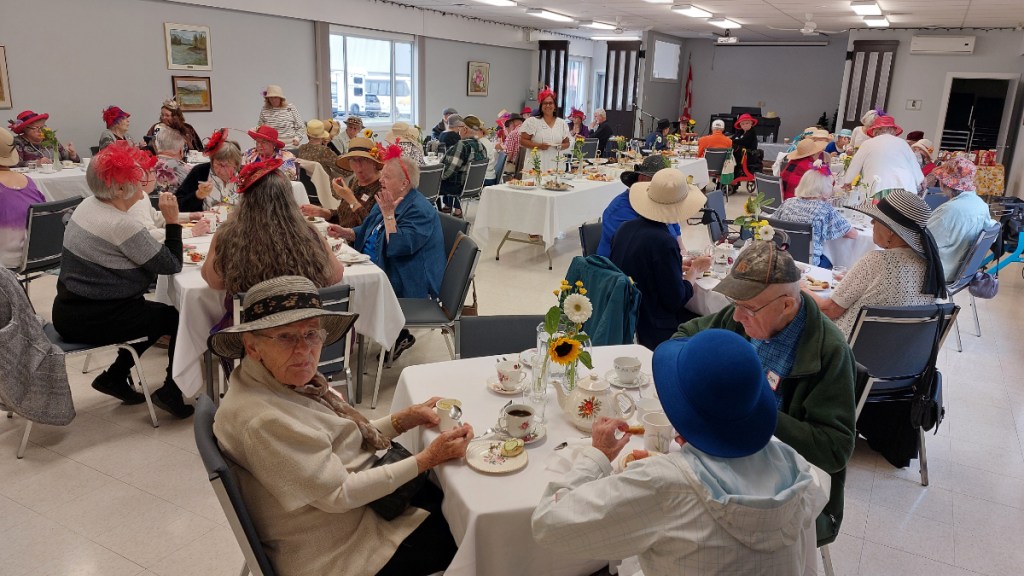 The Buddy Up program finale at the Pioneer Senior Centre brought together 65 seniors.