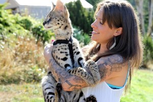 Catherine Joyal and her African serval cat, Capone.