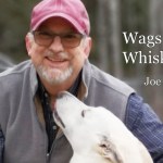 Wags and Whiskers - Joe Griffith
