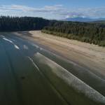 Pachena Bay Campground. (Courtesy Pachena Bay Campground)