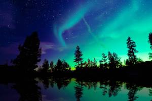 Northern lights create a spectacular show as they dance across the night sky.