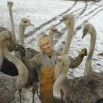 Karen Espersen with the birds that CFIA wants killed at Universal Ostrich.