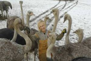 Karen Espersen with the birds that CFIA wants killed at Universal Ostrich.