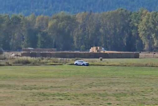 CFIA and RCMP have created a wall of hay bales around the ostriches in Edgewood.