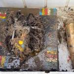 Whale bone experiment recovered from Barkley Canyon in 2023. (Ocean Networks Canada)