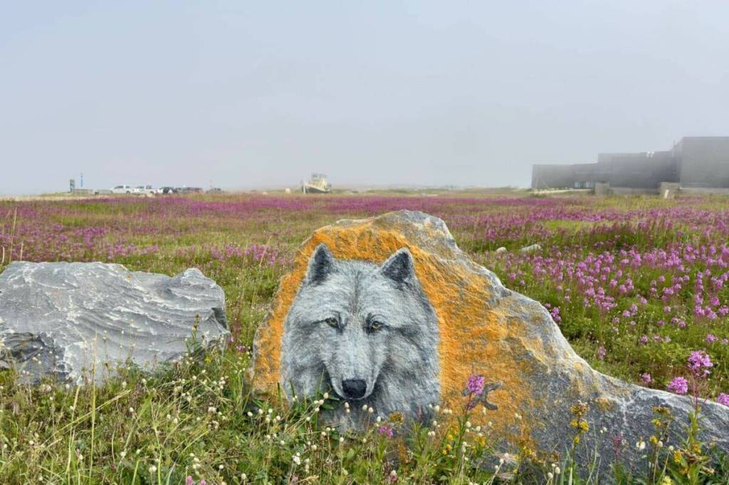 A painted wolf peers through the fields.