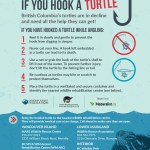 How to respond once you hook a turtle.