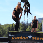 The Canine Stars returned with their dog show.