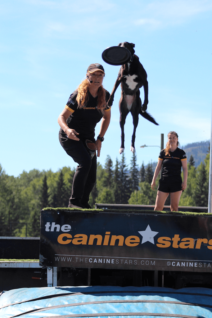 The Canine Stars returned with their dog show.