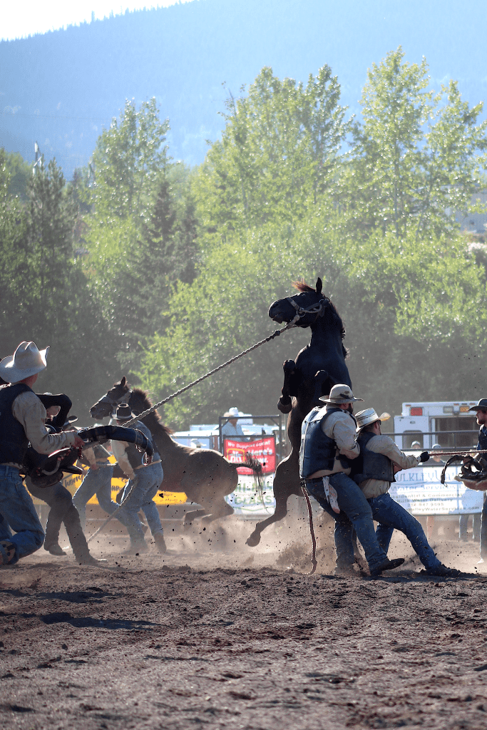 The rodeo at the 106th BVX in Smithers on Aug. 23